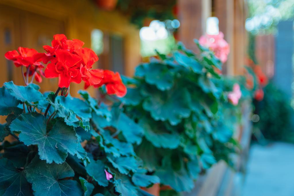 Casa Gherman Hotel Турда Екстериор снимка